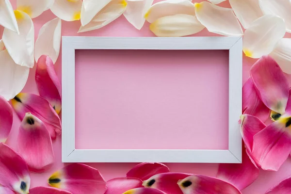 Vista superior del marco en pétalos florales blancos y rosados - foto de stock