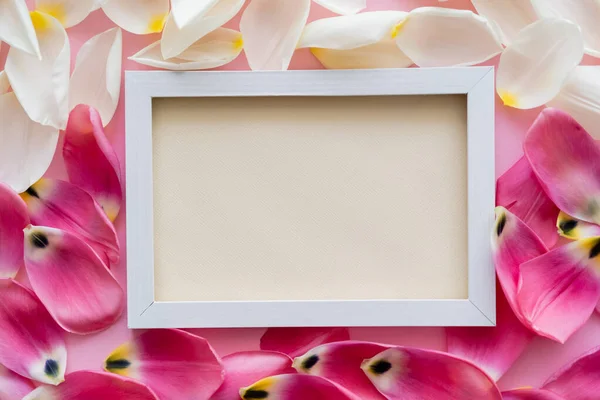 Top view of empty frame on white and pink floral petals — Stock Photo