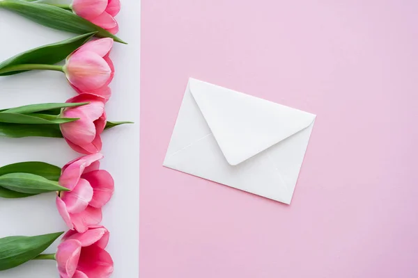 Draufsicht auf Briefumschlag bei blühenden Tulpen auf weiß und rosa — Stockfoto