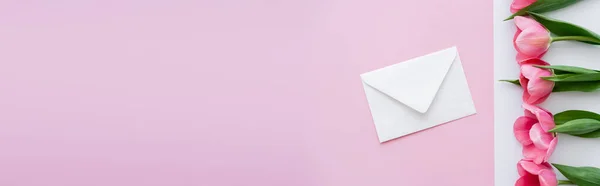 Top view of envelope near blossoming tulips on white and pink, banner — Stock Photo