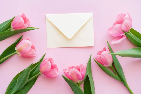 Плоский шар квітучих тюльпанів з зеленим листям біля конверта на рожевому, концепція дня матері — стокове фото