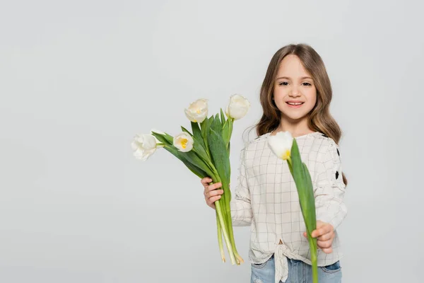 Menina feliz com cabelos longos segurando tulipas brancas isoladas em cinza — Fotografia de Stock