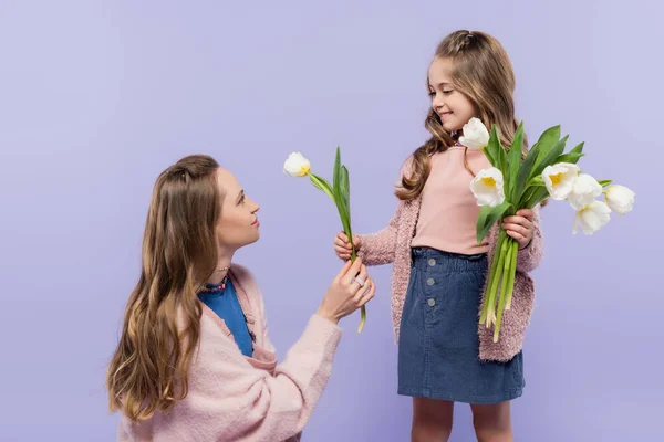 Smiling woman receiving tulip and looking at happy daughter isolated on purple — Stock Photo
