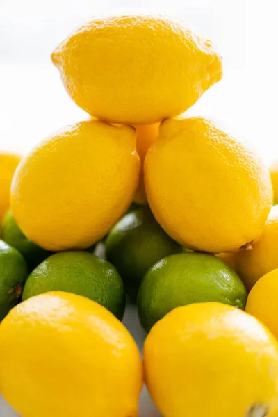 Close up view of lemons on limes with light on white background — Stockfoto