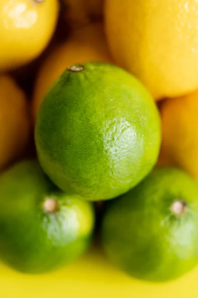 Vista de cerca de limas verdes frescas cerca de limones borrosos en la superficie amarilla - foto de stock