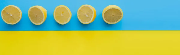 Top view of cut lemons on blue and yellow background, banner — Stockfoto