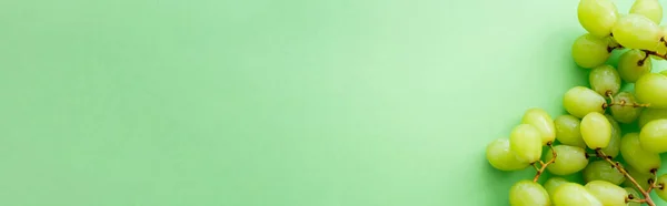 Top view of ripe and organic grapes on green, banner — Fotografia de Stock
