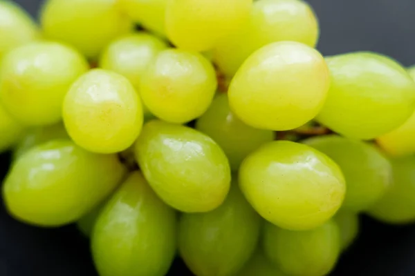 Close up of wet and fresh grapes - foto de stock