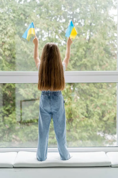 Повна довжина дівчини з довгим волоссям, що стоїть з невеликими українськими прапорами біля вікна, вид ззаду — стокове фото