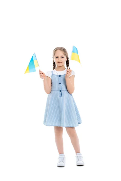 Visão comprimento total da menina em vestido de cinta azul segurando pequenas bandeiras ucranianas no branco — Fotografia de Stock