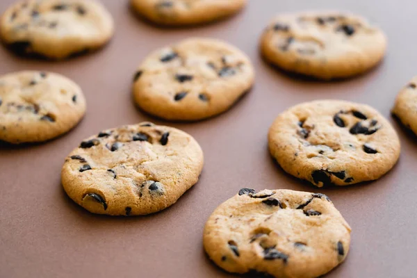 Cookies with chocolate chips on brown background — Stock Photo