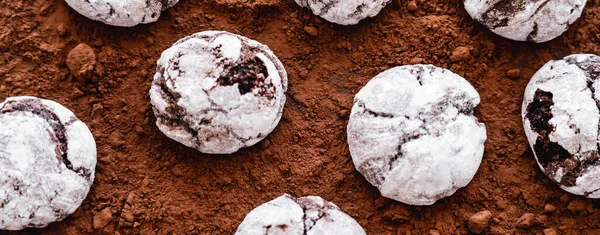 Draufsicht auf Kekse mit Puderzucker auf Kakaopulver, Banner — Stockfoto