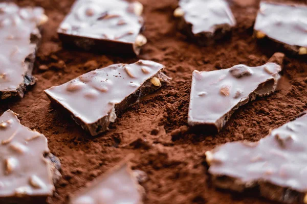 Close up view of natural cocoa on dry cocoa — Stockfoto