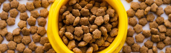 Vista superior de comida seca para mascotas en un tazón amarillo de plástico, pancarta - foto de stock