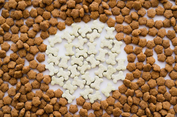 Flache Lage aus knochenförmigen weißen Keksen und trockenem Tiernahrung — Stockfoto