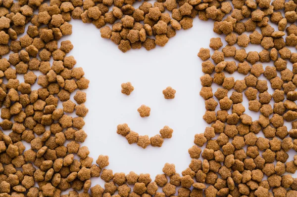 Flat lay of dry pet food in shape of cartoon dog on white — Stock Photo