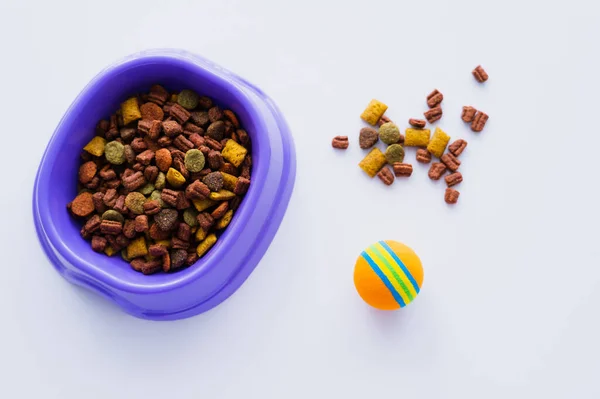 Vista dall'alto di ciotola di plastica viola con cibo per animali domestici asciutto e palla isolata su bianco — Foto stock
