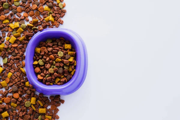 Vue du dessus du bol en plastique violet avec de savoureux aliments pour animaux isolés sur blanc — Photo de stock