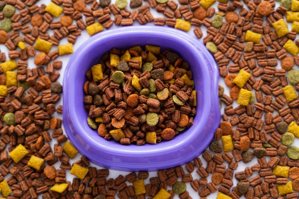Top view of pet dry food around purple bowl — Stock Photo