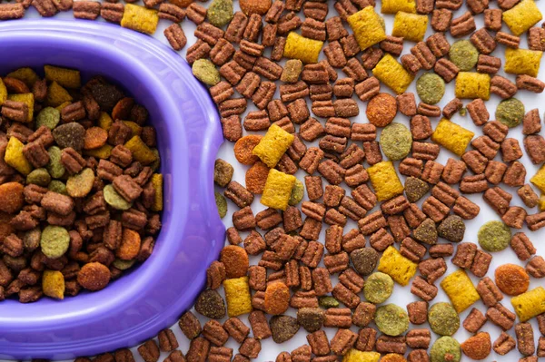 Vue du dessus de la nourriture sèche pour animaux autour d'un bol violet — Photo de stock