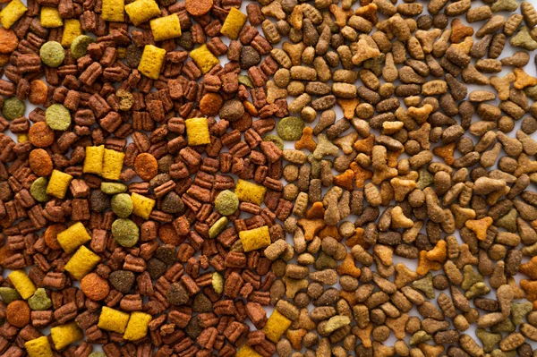 Vista superior de alimentos secos para animais de estimação em diferentes formas como fundo — Fotografia de Stock
