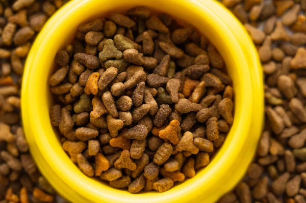 Close up view of dry pet food in yellow bowl — Stock Photo