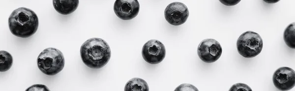 Flat lay with fresh blueberries on white background, banner — Stock Photo