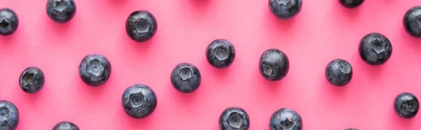 Pose plate avec des bleuets naturels sur fond rose, bannière — Photo de stock