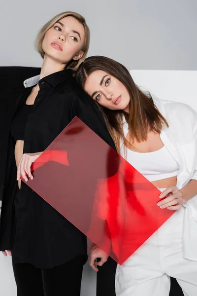 Brunette woman looking at camera while posing near red glass and stylish friend on grey with black and white — Stock Photo