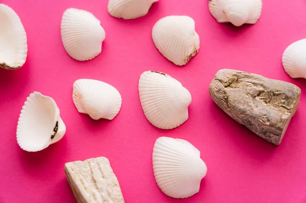 Top view of white seashells and stones on pink background — Stock Photo