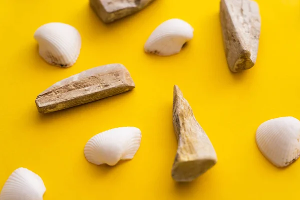 Top view of white seashells and stones on yellow background — Stock Photo