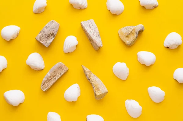Posa piatta di conchiglie e pietre su sfondo giallo — Foto stock