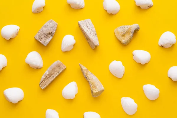 Pose plate de coquillages et de pierres sur fond jaune — Photo de stock