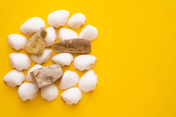 Top view of seashells and stones on yellow background — Stock Photo