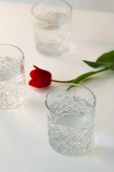 Vista de alto ângulo de tulipa vermelha e óculos com água em mesa branca e fundo borrado — Fotografia de Stock