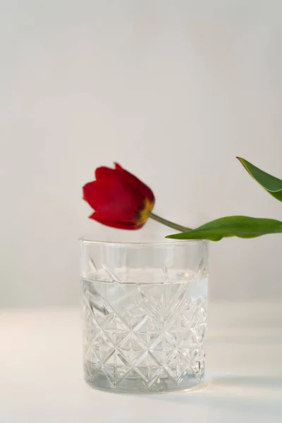 Verre facetté avec de l'eau propre près de tulipe floue sur la surface blanche isolé sur gris — Photo de stock