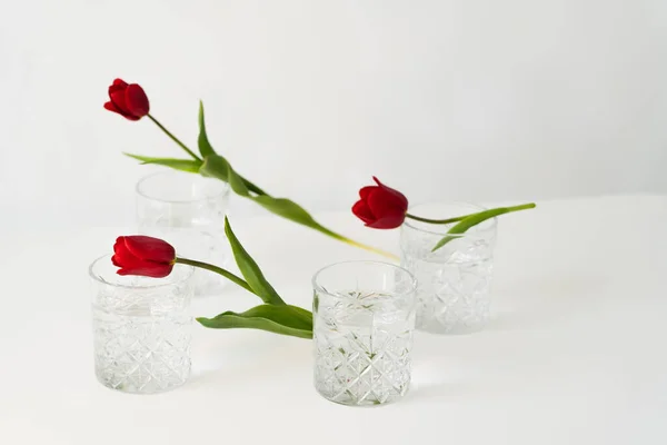 Red tulips near faceted glasses with clean water on white background — Stock Photo