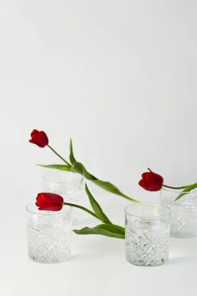 Faceted glasses with water near fresh red tulips on white background with copy space — Stock Photo