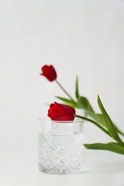 Crystal glass of water near red tulips with green leaves on white blurred background — Stock Photo