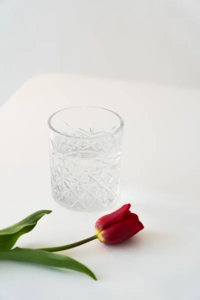 Crystal faceted glass with pure water near fresh tulips on white surface isolated on grey — Stock Photo