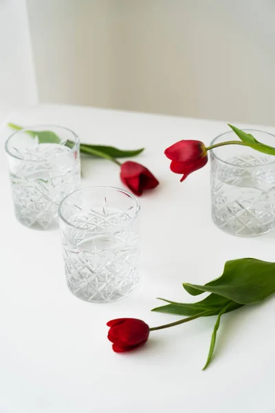 Red tulips with green leaves near crystal glasses with water on white tabletop and grey background — Stock Photo