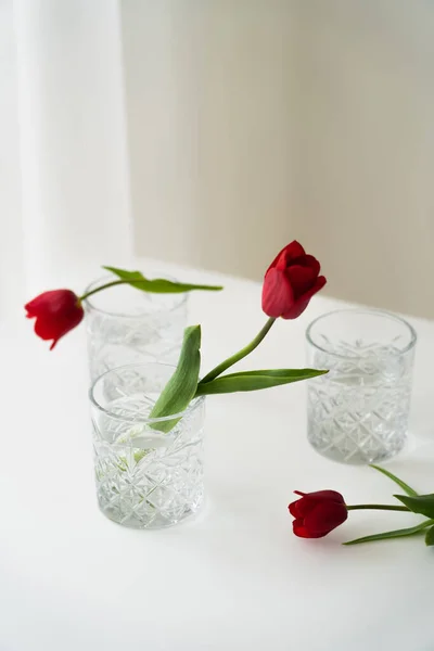 Rote Tulpen und facettierte Gläser mit klarem Wasser auf weißer Tischplatte und grauem Hintergrund — Stockfoto