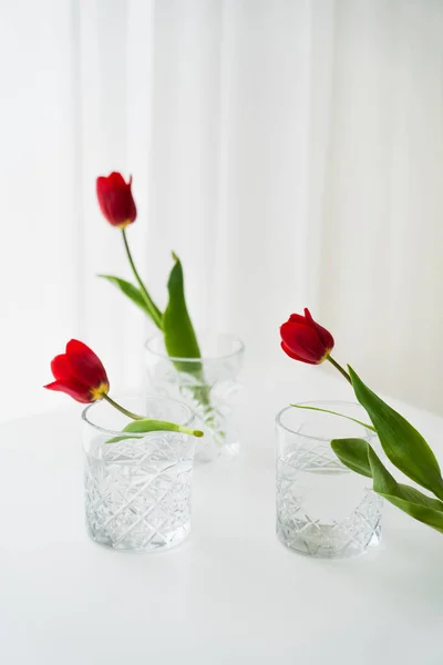 Rote Tulpen in der Nähe von Gläsern mit frischem Wasser auf weißer Tischplatte und grauem Hintergrund — Stockfoto