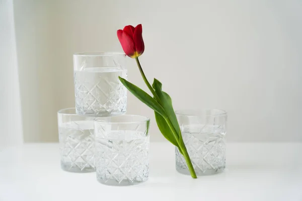 Tulipán fresco cerca de vasos facetados con agua sobre superficie blanca y fondo gris - foto de stock