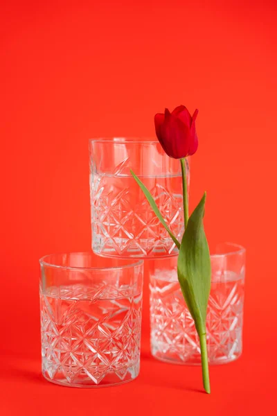 Vasos con agua pura apilados cerca de tulipán sobre fondo rojo brillante - foto de stock