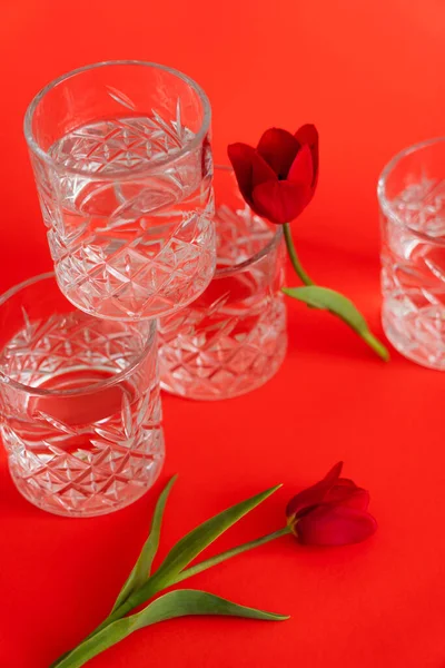 High angle view of faceted glasses with water near tulips on red background — Stock Photo