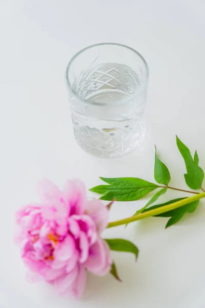 Vista de ángulo alto de peonía rosa y vidrio con agua clara en la superficie blanca - foto de stock