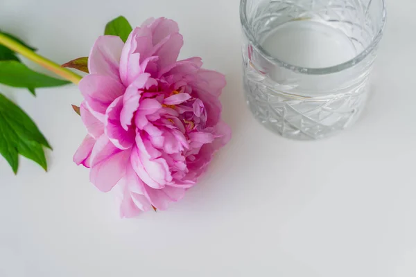 Vue grand angle de pivoine rose fraîche et verre facetté avec de l'eau pure sur la surface blanche — Photo de stock