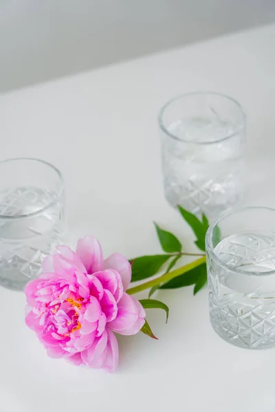Vista de ángulo alto de peonía rosa y vasos con agua limpia en superficie blanca aislada en gris - foto de stock