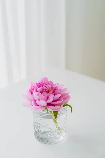 Kristallglas mit Wasser und frischer rosa Pfingstrose auf weißer Tischplatte und grauem Hintergrund — Stockfoto